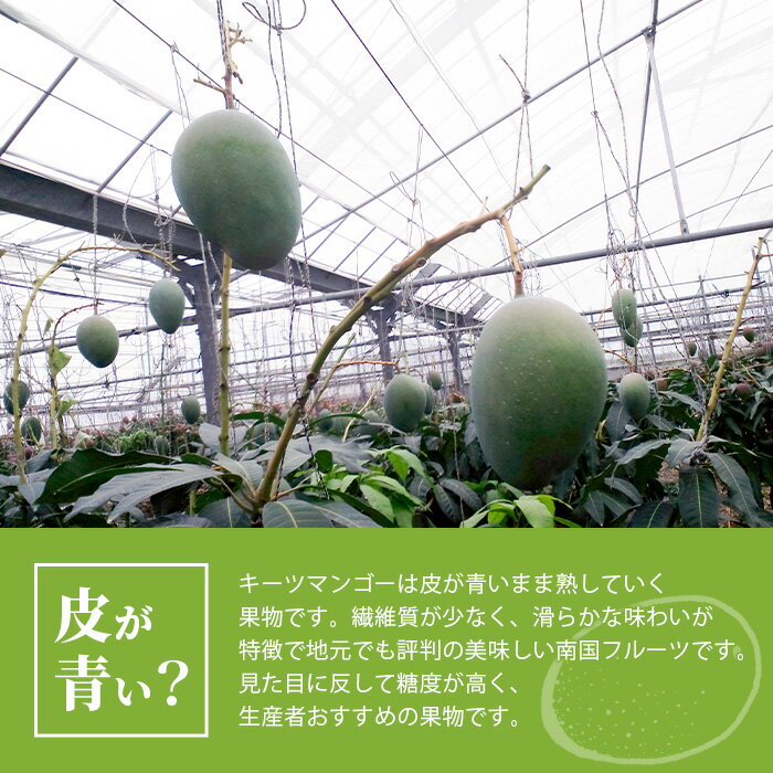 沖縄県石垣市の画像2