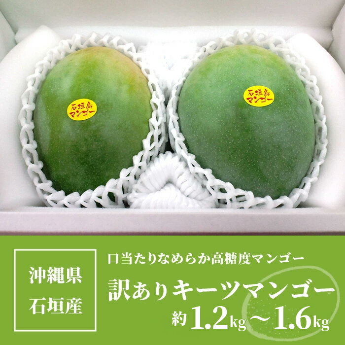 沖縄県石垣市の画像3