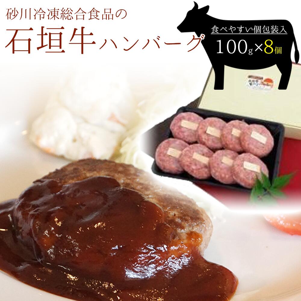 【ふるさと納税】石垣牛100%ハンバーグ 計800g 100g×8個入 国産 沖縄県石垣市 黒毛和牛 ブランド牛 個包装 冷凍 送料無料 M-5