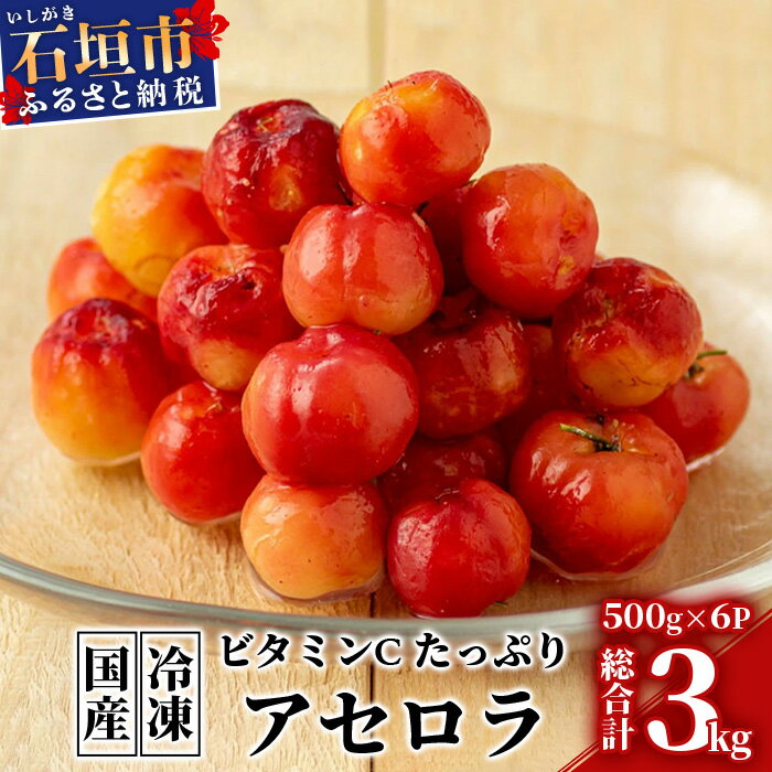 5位! 口コミ数「2件」評価「4」希少な国産アセロラ果実 冷凍 500g×6パック 3kg 沖縄県石垣市 南国フルーツ 送料無料 ZH-20