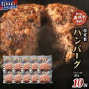 【ふるさと納税】 高級 黒毛和牛 石垣牛 100% 自家製 ハンバーグ 100g × 10個 1kg | ふるさと納税 ハンバーグ 和牛 黒毛和牛 石垣牛 無添加 国産 牛肉 ブランド牛 冷凍 個包装 ふるさと 沖縄県 沖縄 石垣 石垣島 石垣市 人気 送料無料 I-9