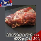 【ふるさと納税】石垣産ヤギ肉 ブロック 500g 焼肉用 BBQ 冷凍 国産 沖縄県石垣市 送料無料 I-15