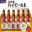 【ふるさと納税】V-25 石垣島ハイビール 12本セット 各330ml 合計3960ml 沖縄県石垣市 常温 送料無料 ビール 泡盛