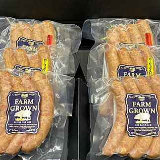 【ふるさと納税】石垣島産アグ—豚 ソーセージ詰め合わせ 計600g 3種 あらびき 島唐辛子 ガーリック 豚肉 南ぬ豚 国産 沖縄県石垣市 加工肉 詰め合わせ 贈答用 プレゼント 送料無料 E-13