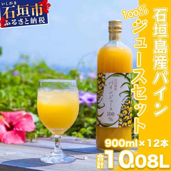 石垣島産パイン100%ジュース 900ml×12本 ストレート パイナップル 飲料類 沖縄県石垣市 贈答用 プレゼント 送料無料 E-13-1