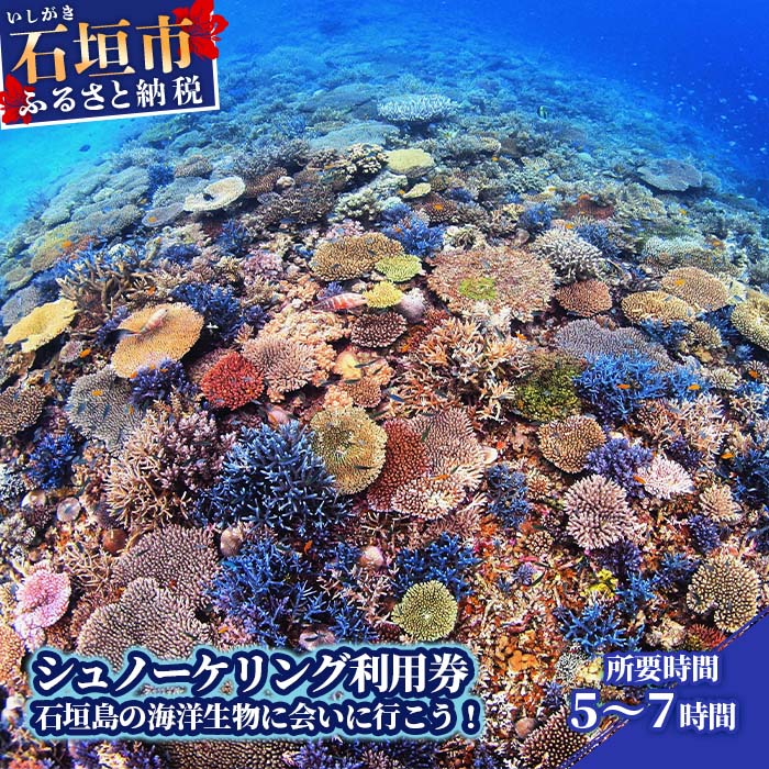 1日シュノーケリング体験券〜石垣島の綺麗な海でマンタやウミガメに会える〜 1名様分 インストラクター指導付 初心者歓迎 所要時間5〜7時間 チケット アクティビティ 旅行 沖縄県石垣市 送料無料 YD-3