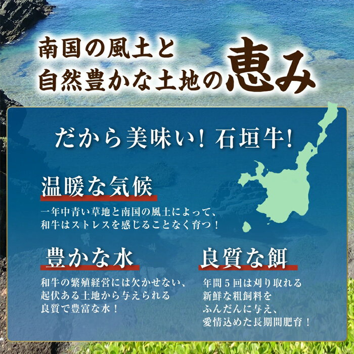 沖縄県石垣市の画像3