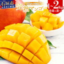 【ふるさと納税】とろける甘さ 石垣島マンゴー 2~6玉 | 選べる数量 2~3玉(1kg)/ 4~6玉 (2kg) 2L~3L マンゴー 産地直送 旬 フルーツ 新鮮 完熟 マンゴー 石垣 沖縄 【2025年6月中旬から順次発送】