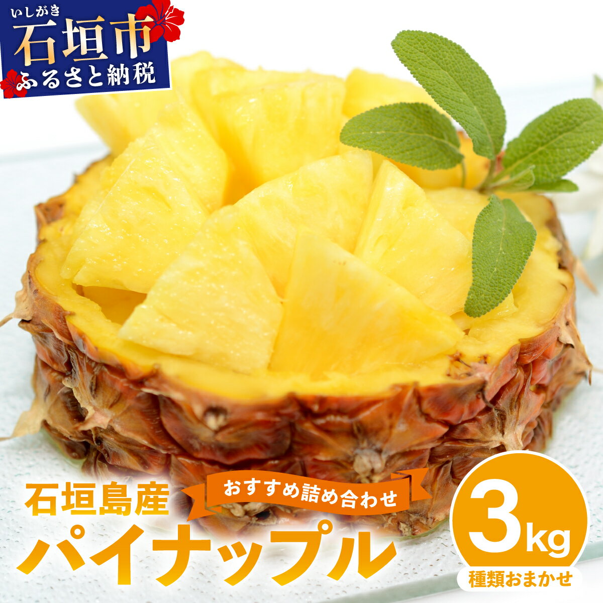 【ふるさと納税】石垣島産 パイナップル 約3kg 2〜6個 《2026年4月下旬発送》 | ふるさと納税 パイナップル パイン フルーツ 果物 果実 南国フルーツ 沖縄県石垣市 沖縄県 石垣市 石垣島 産地直送 ふるさと 人気 送料無料 KP-14