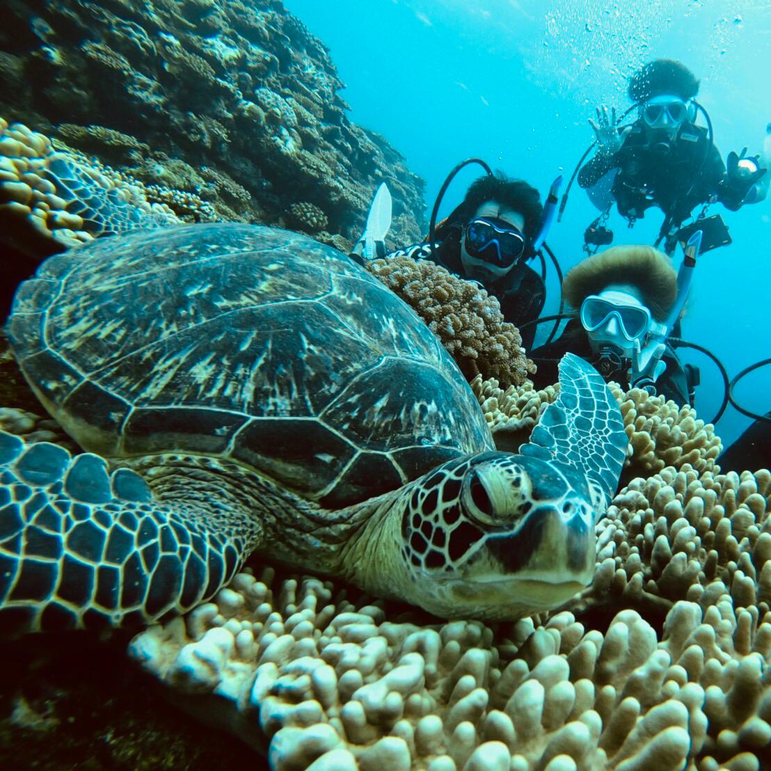 沖縄県石垣市の画像2