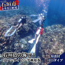 【ふるさと納税】石垣島の海でファンダイビング利用券1日3ダイブ アクティビティ 体験 沖縄県石垣市 送料無料 MP-2