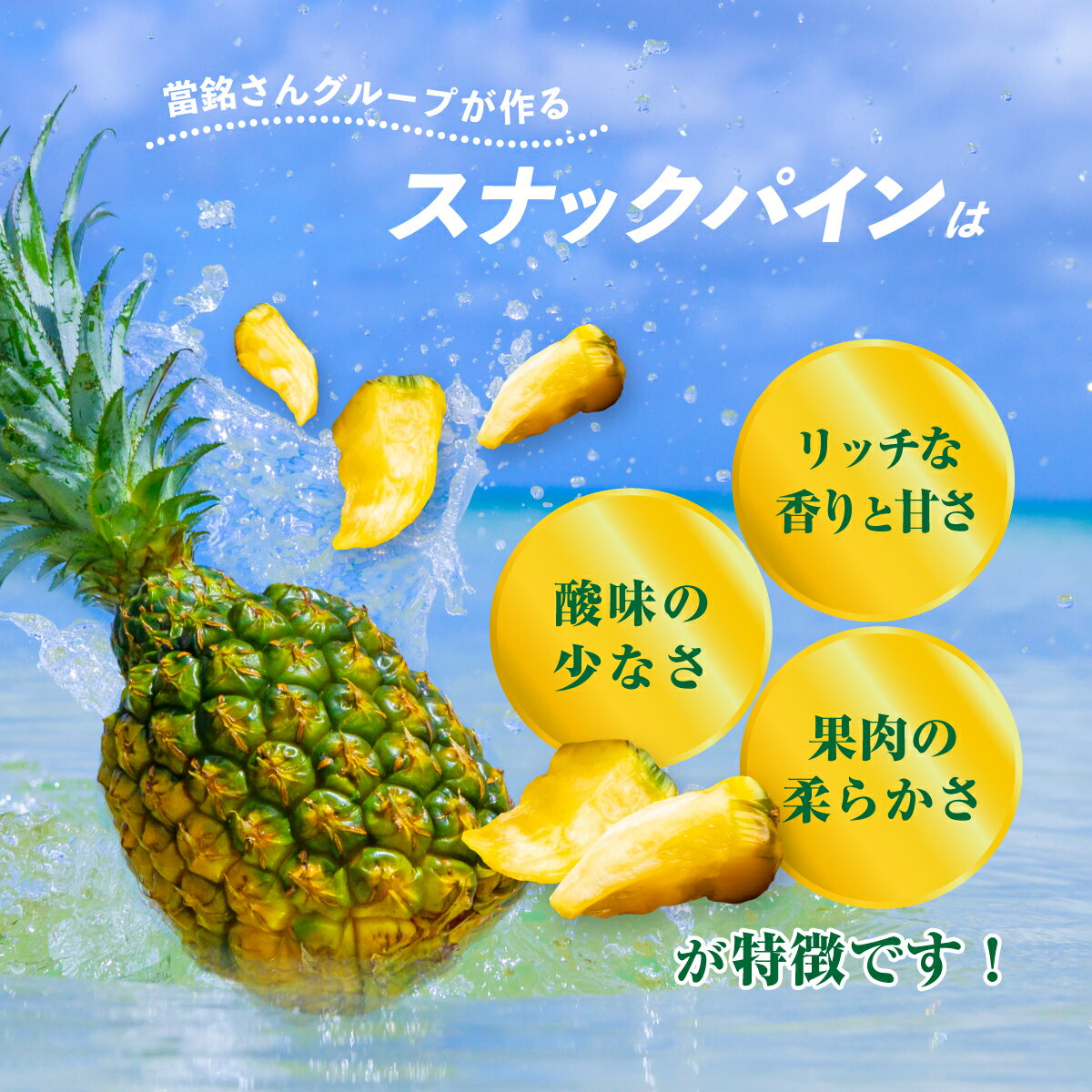 沖縄県石垣市の画像2