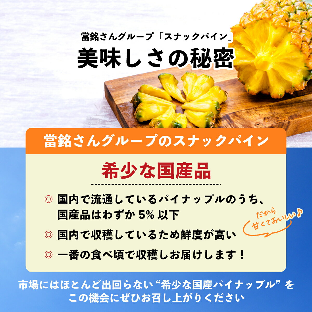 沖縄県石垣市の画像3