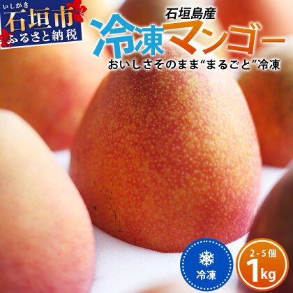 【先行予約】 【先行予約】 石垣島産 まるごと冷凍 マンゴー 約1kg 2~5個 【2024年6月末頃より順次発送予定】 | ふるさと納税 マンゴー 冷凍 産地直送 フルーツ 果物 沖縄県石垣市 石垣 沖縄 石垣市 石垣島 ふるさと 人気 送料無料 EF-7