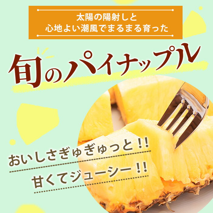 【ふるさと納税】【先行予約】 石垣島産 パイナップル 約3kg 2～6個 【2024年5~8月上旬より順次発送予定】 | ふるさと納税 パイナップル パイン フルーツ 果物 果実 南国フルーツ 沖縄県石垣市 沖縄県 石垣市 石垣島 産地直送 ふるさと 人気 送料無料 KP-14