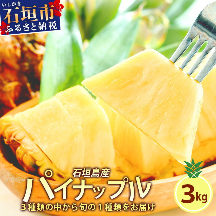 【ふるさと納税】【先行予約】 石垣島産 パイナップル 約3kg 2～6個 【2024年5~8月上旬より順次発送予定】 | ふるさと納税 パイナップル パイン フルーツ 果物 果実 南国フルーツ 沖縄県石垣市 沖縄県 石垣市 石垣島 産地直送 ふるさと 人気 送料無料 KP-14