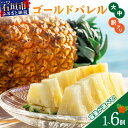【ふるさと納税】先行予約《2025年夏季 順次発送》石垣島産・ゴールドバレルパイン 高級パイン 【通常・訳あり】【選べるサイズ】 パイン 果物 常温 期間限定 ...