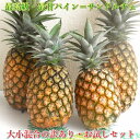 【ふるさと納税】先行予約《2025年夏季 順次発送》【訳あり】石垣島産 サンドルチェパイン 約3.5〜4kg 甘さ最高パインの「訳あり」の大小混合セット 期間限...