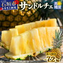 【ふるさと納税】先行予約《2025年夏季 順次発送》【通常・訳あり】【選べるサイズ】石垣島産 サンドルチェパイン ~7.2kg 甘さ最高パインの 期間限定 送料無料 SI-28/SI-41/SI-42/SI-43/SI-106/SI-107/SI-108/SI-109