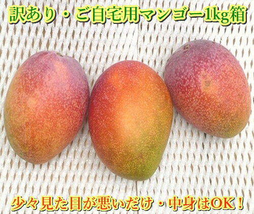 石垣島産 [訳あり・ご自宅用マンゴー]約1kg エコ箱入り(2〜4個入り)2024年6月中旬〜順次発送 | 沖縄県 石垣市 送料無料