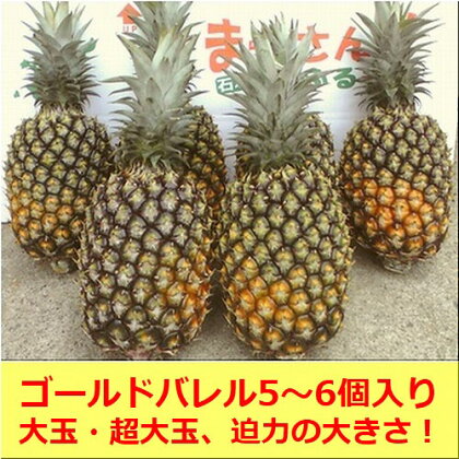 〔先行受付〕石垣島産・ゴールドバレルパイン　大玉5〜6個入り 約11〜12kg ｟6月上旬～順次発送｠パイン 果物 常温 期間限定 沖縄県石垣市 送料無料 SI-8-1