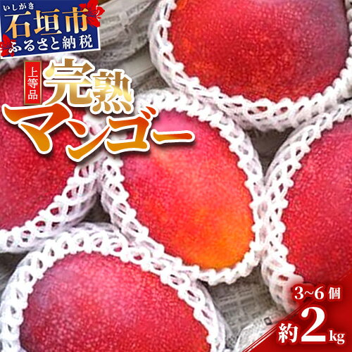 【ふるさと納税】＜予約受付＞完熟アップルマンゴー 3~6個 約2kg ＜2026年7月中旬以降発送＞ | 沖縄県 ..