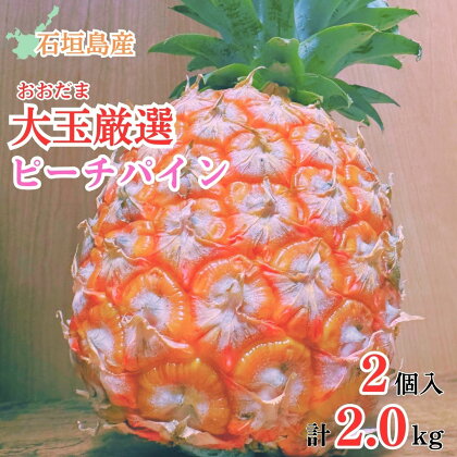 石垣島産・大玉ピーチパイン 2玉 沖縄県石垣市 | パイン 約2.0kg 果物 期間限定 産地直送 送料無料 SI-36