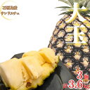 【ふるさと納税】先行予約《2025年夏季 順次発送》サンドルチェ大玉3~4個 計3.6kg | 産地直送 沖縄 石垣 フルーツ パイナップル パイン サンドルチ...