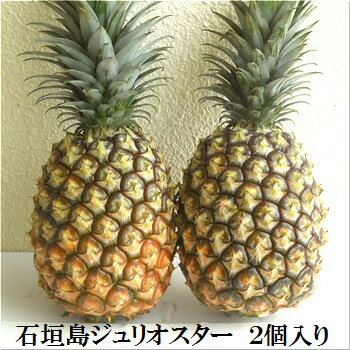 【ふるさと納税】【先行予約】ジュリオスター大玉2個 計2.4kg 《6月上旬より順次発送》｜ 産地直送 沖縄 石垣 フルーツ パイナップル パイン ジュリオスター SI-44