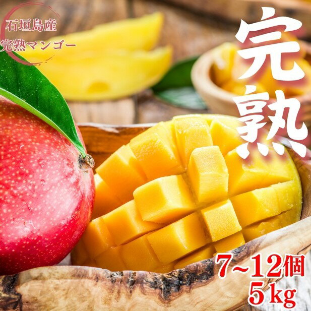 [先行予約][石垣島産アップルマンゴー]完熟マンゴー 内容量5kg (7〜12個入り)[2025年6月末〜7月下旬発送][ 産地直送 沖縄 石垣 フルーツ マンゴー アップルマンゴー 完熟マンゴー ] 