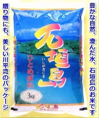 【ふるさと納税】【石垣島産ひとめぼれ】日本最南端の日本一早い新米・3kg｜ふるさと 沖縄県 沖縄 石垣 石垣島 石垣市 米 お米 新米 3kg×1袋 送料無料 SI-74のサムネイル