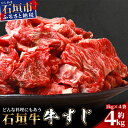 【ふるさと納税】石垣牛・牛すじ 4kg (1kg×4) 冷凍便 | 沖縄県 石垣市 牛肉 お肉 牛スジ 牛筋 煮込み おでん カレー 送料無料 SI-87