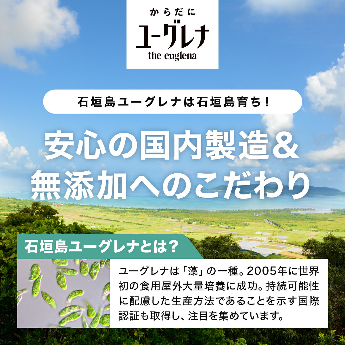 沖縄県石垣市の画像3
