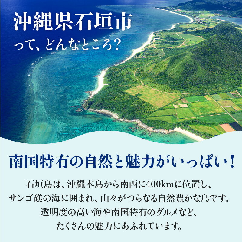 【ふるさと納税】沖縄県石垣市の対象施設で使える楽天トラベルクーポン寄付額20,000円 | クーポン 6,000円 ふるさと納税 宿泊券 高級 宿 ホテル ふるさと 旅行 宿泊 チケット クーポン 沖縄県 沖縄 石垣 石垣島 石垣市 人気 送料無料 RT-1