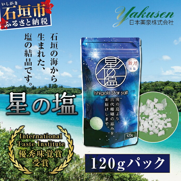 星塩120gパック 沖縄県石垣市 塩 常温 送料無料