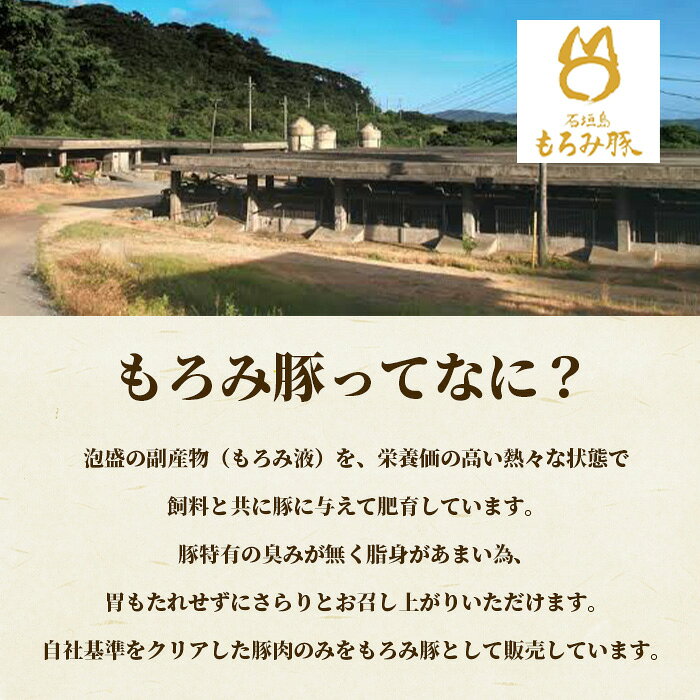 沖縄県石垣市の画像2