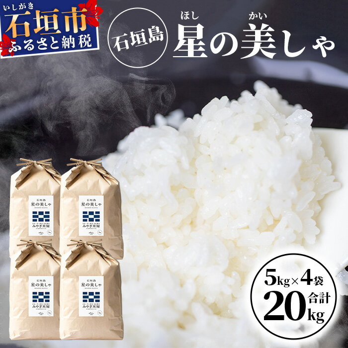 26位! 口コミ数「0件」評価「0」日本一早い新米　令和5年産 石垣島産 星の美しゃ（ほしのかいしゃ）20kg（5kg×4袋）MK-5【沖縄県 石垣市 石垣島 米 星 星の美し･･･ 