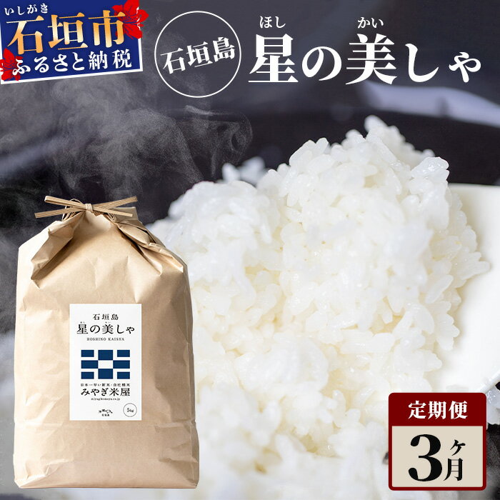 3カ月連続お届け 日本一早い新米 令和5年産 石垣島産 星の美しゃ(ほしのかいしゃ)15kg(5kg×3袋)MK-6[沖縄県 石垣市 石垣島 米 星 星の美しゃ]