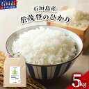 【ふるさと納税】石垣島産 於茂登(おもと)のひかり 5kg みやぎ米屋【 日本一早い新米の産地 お米 米 こめ コメ 産地直送 旬 しきゆたか 沖縄県 石垣市 送料無料 】MK-1