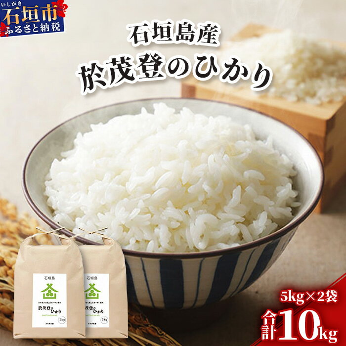 【ふるさと納税】石垣島産 於茂登(おもと)のひかり 10kg みやぎ米屋【 日本一早い新米の産地 お米 こめ コメ 産地直送 旬 しきゆたか 沖縄県 石垣市 送料無料 】MK-2