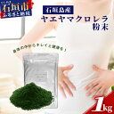 石垣島産ヤエヤマクロレラ粉末（1kg）ヤエヤマクロレラ 健康 美容 石垣島産 AR-3