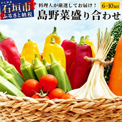 料理人が厳選した島野菜盛り合わせ (6～10品目) 野菜詰合せセット やさい セット 詰め合わせ 冷蔵対応 TM-7