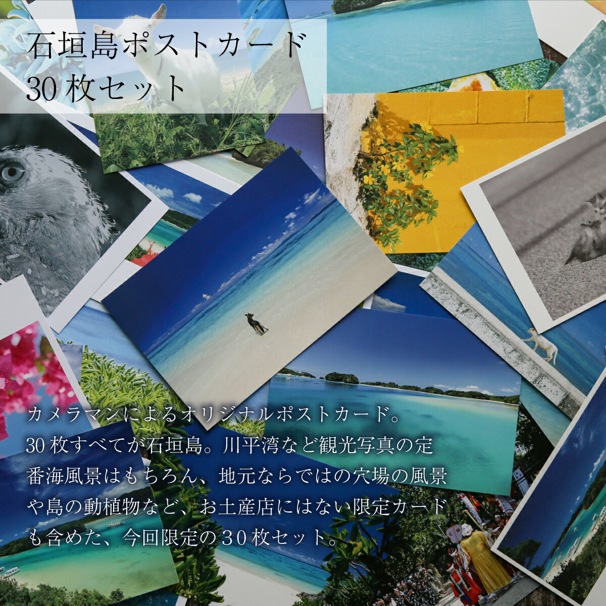 【ふるさと納税】石垣島ポストカード30枚セット nn-28