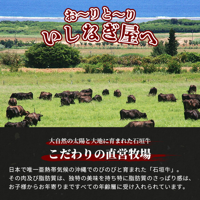 【ふるさと納税】石垣牛 切り落とし スライス (300g×2パック) 計600g 沖縄県 石垣市 石垣島 石垣牛 牛肉 牛 切り落とし スライス 高級 黒毛和牛 和牛 送料無料 AB-24-1