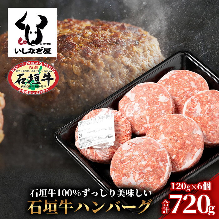 高級 黒毛和牛 石垣牛 ハンバーグ 120g × 6個 720g | ふるさと納税 ハンバーグ 和牛 黒毛和牛 石垣牛 無添加 国産 牛肉 ブランド牛 冷凍 個包装 ふるさと 沖縄県 沖縄 石垣 石垣島 石垣市 人気 送料無料