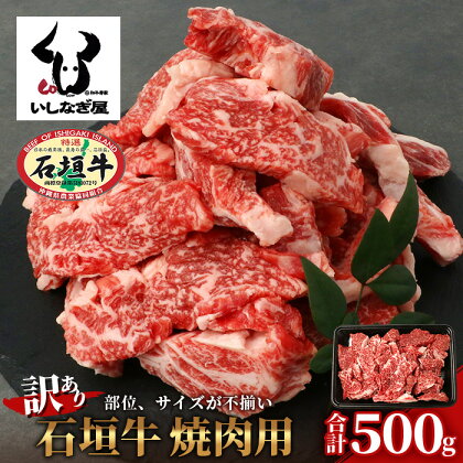 【訳あり】石垣牛 焼肉用　(不揃い)　500g ｜ 訳アリ 沖縄県 石垣島 石垣牛 国産 黒毛和牛 牛肉 牛 和牛 焼肉 BBQ 送料無料 AB-26