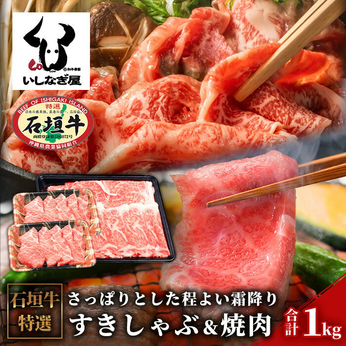 石垣牛すきしゃぶ+焼肉セット 合計1kg AB-8