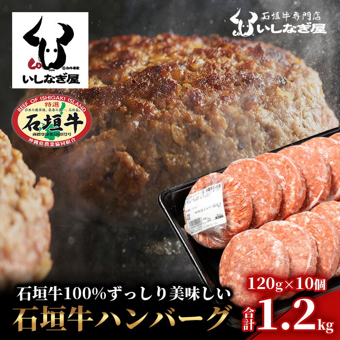 高級 黒毛和牛 石垣牛 ハンバーグ 120g × 10個 1.2kg | ふるさと納税 ハンバーグ 和牛 黒毛和牛 石垣牛 無添加 国産 牛肉 ブランド牛 冷凍 個包装 ふるさと 沖縄県 沖縄 石垣 石垣島 石垣市 人気 送料無料 AB-13-2