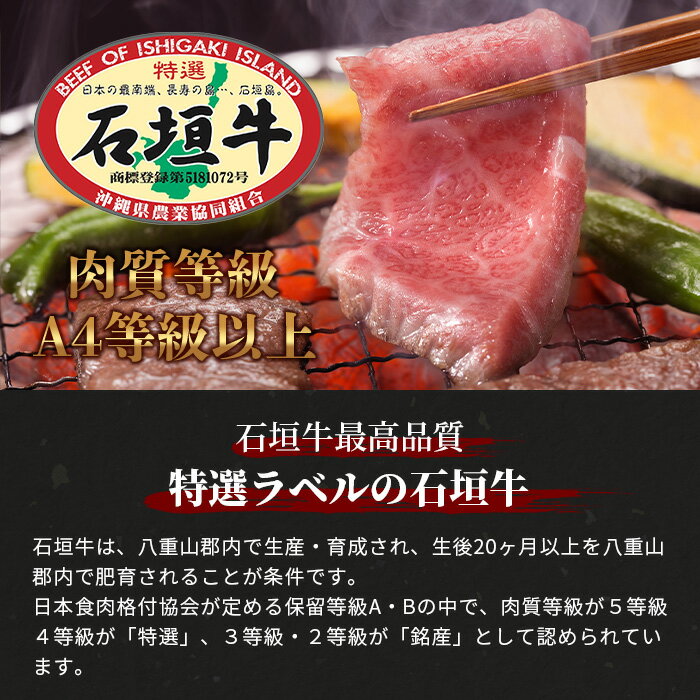 沖縄県石垣市の画像3