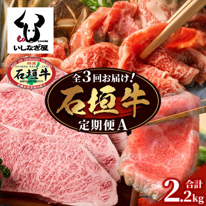 【ふるさと納税】【全3回 定期便A】 石垣牛特選 焼肉・サーロインステーキ・すきしゃぶ 計2.2kg (いしなぎ屋) |沖縄県 石垣島 石垣牛 国産 和牛 牛肉 牛 和牛 しゃぶしゃぶ すき焼き ステーキ 特選肉 送料無料 AB-29